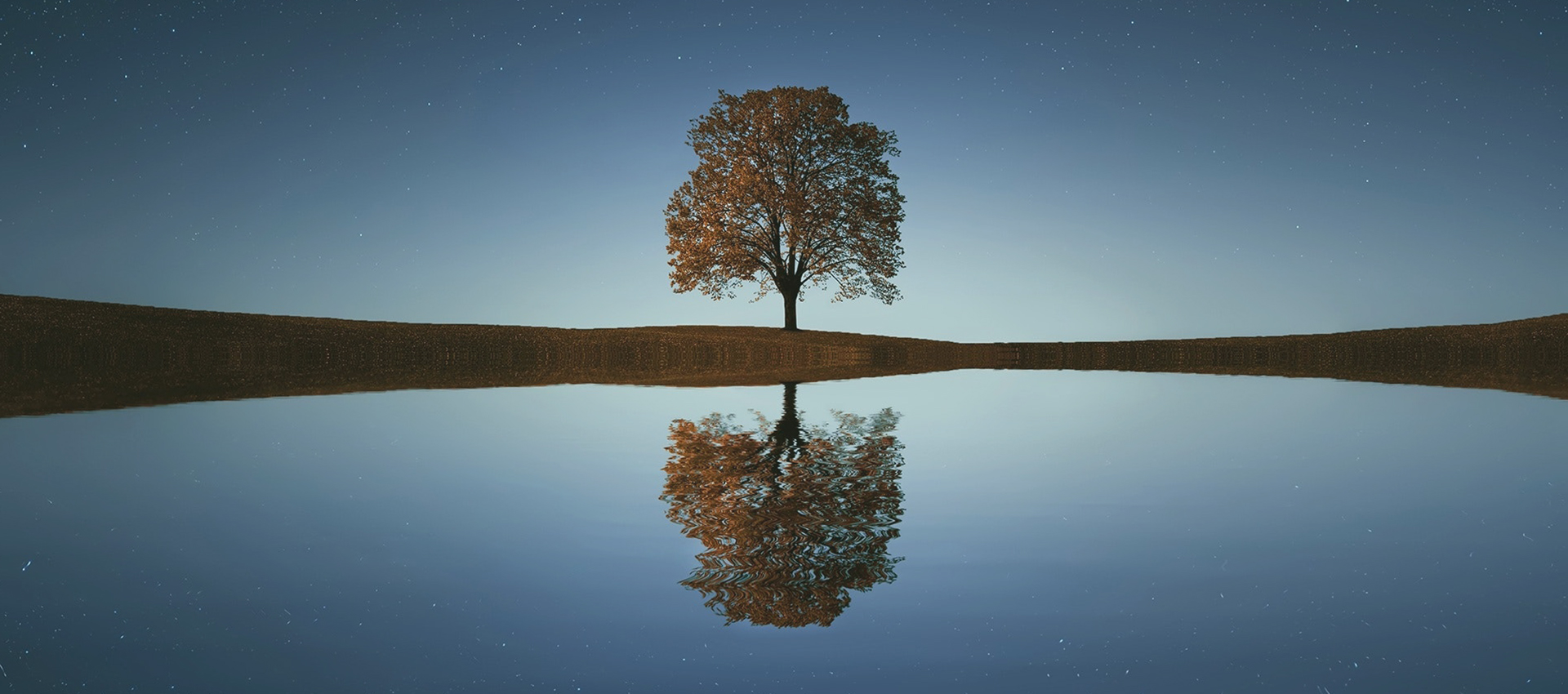 Homepage Studio Gianfranco Podda - Immagine albero che si specchia sull'acqua
